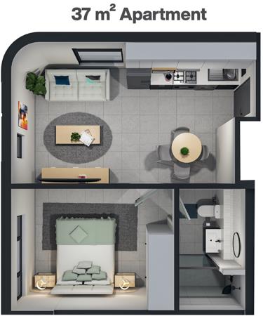 1 Bedroom Apartment