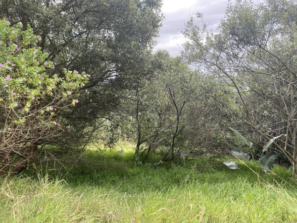 1 501 m² Land