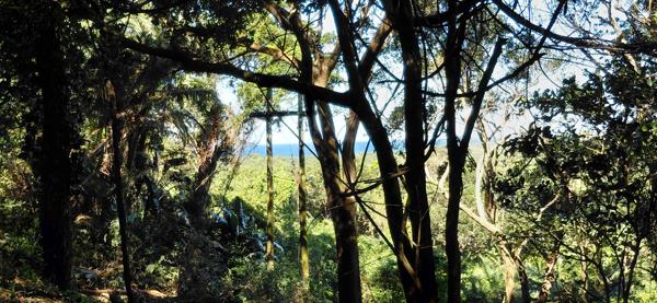 1 824 m² Land