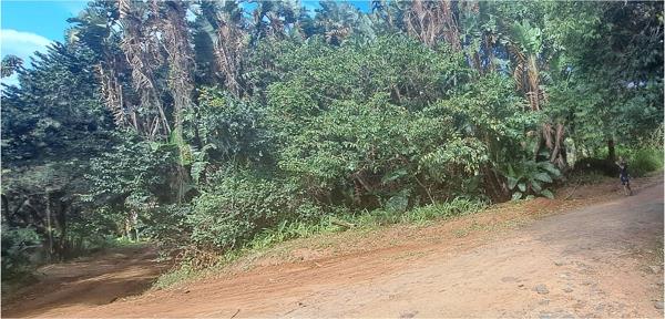 1 013 m² Land