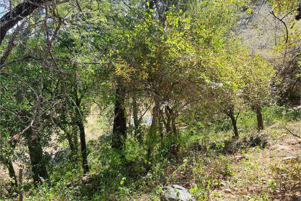 2 730 m² Land