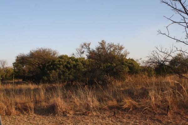 1 ha Land