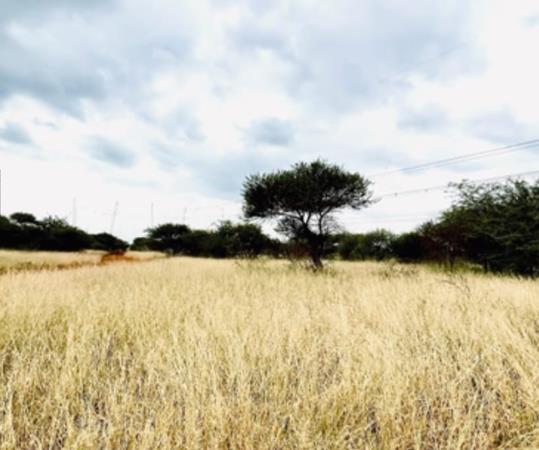 10 ha Farm