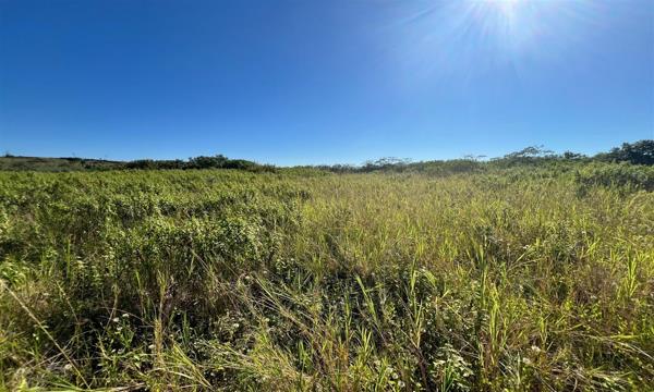 568 m² Land