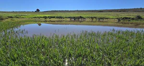 767.5 ha Farm