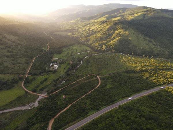 196.9 ha Farm