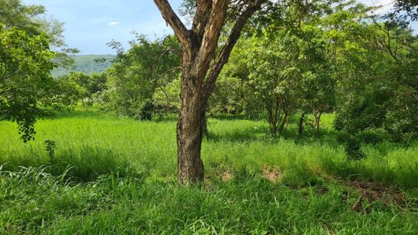 1 636 m² Land