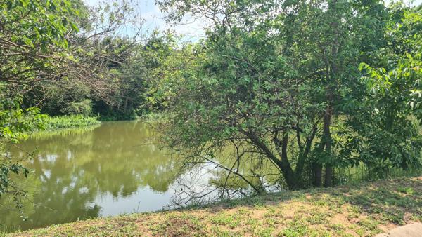 1 636 m² Land