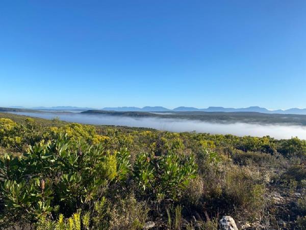 290 ha Farm