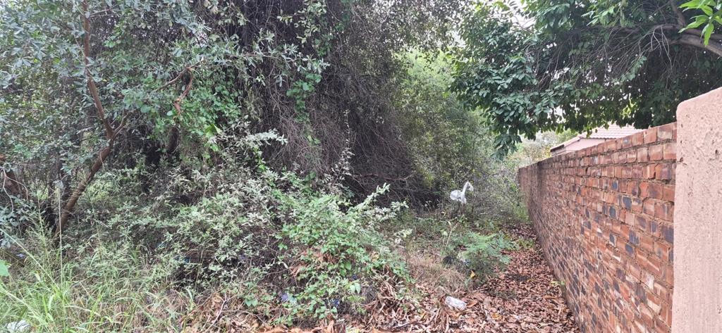 629 m² Land