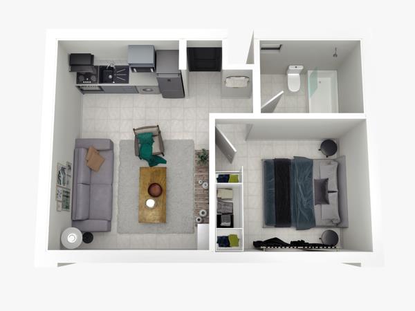 1 Bedroom Apartment