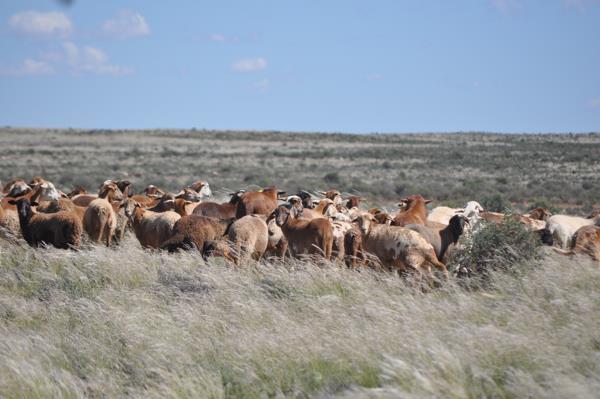 9 576 ha Farm