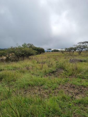 2 ha Land