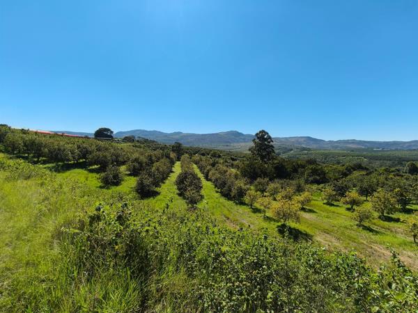 65 ha Commercial Farm