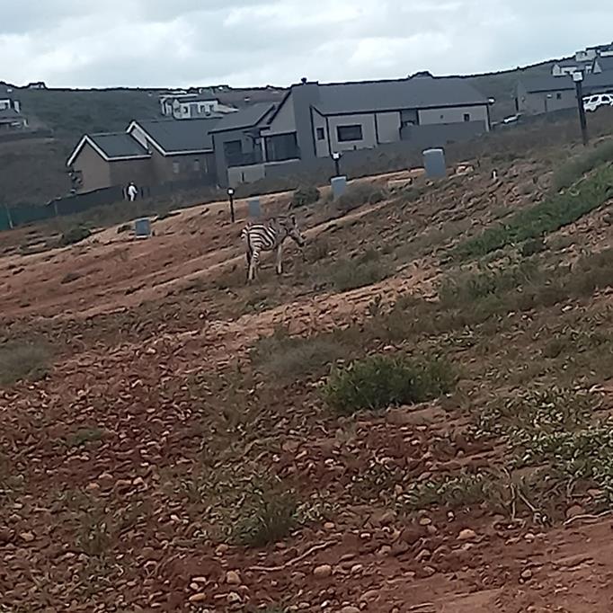 500 m² Land
