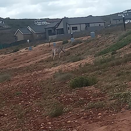 500 m² Land