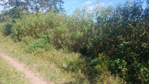 450 m² Land