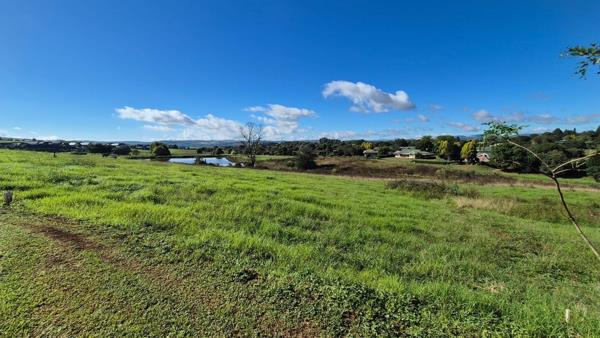1 017 m² Land