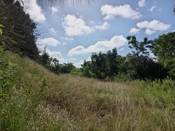8 558 m² Land