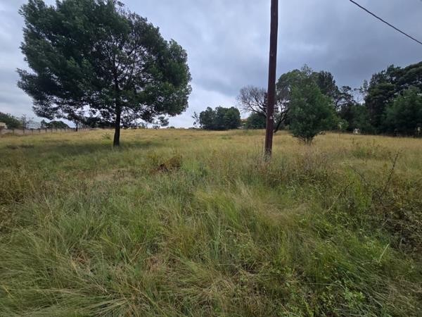 1 ha Land