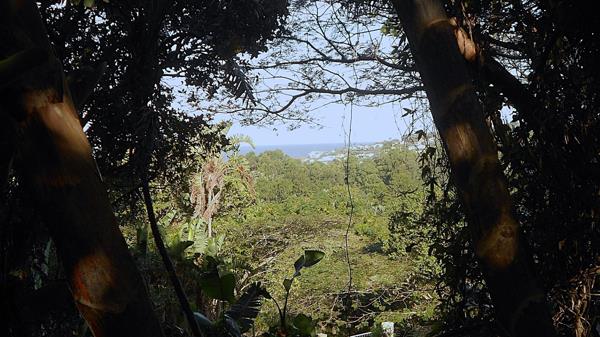 1 361 m² Land
