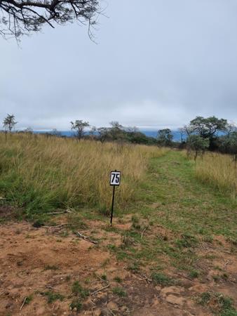 1.3 ha Land