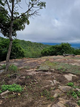1.6 ha Land