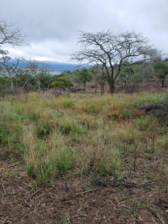1.4 ha Land