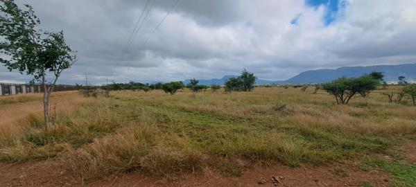 22 ha Land