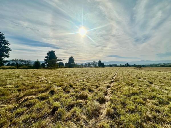 22.6 ha Farm