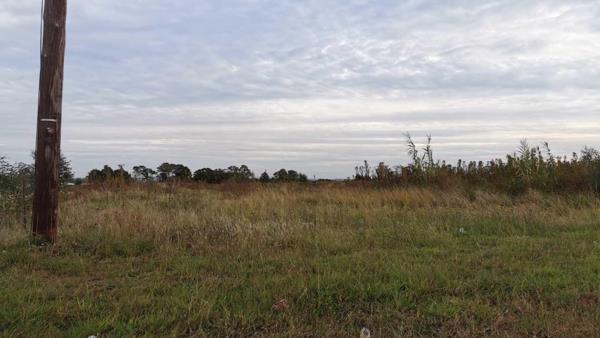 1.1 ha Land