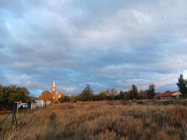 743 m² Land