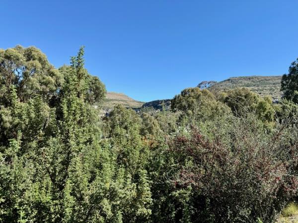 700 m² Land