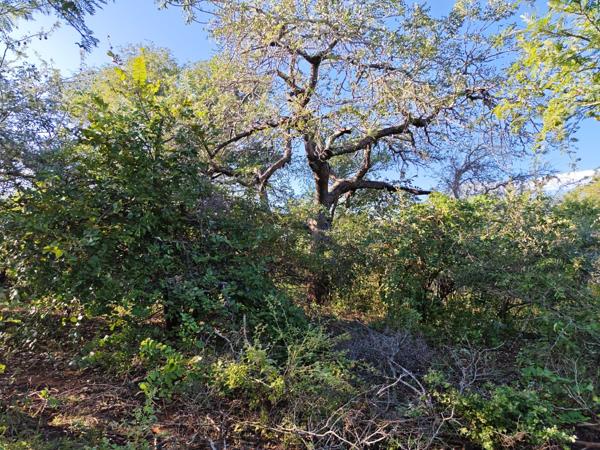 2 310 m² Land