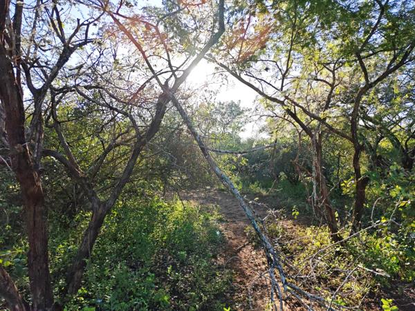 2 310 m² Land