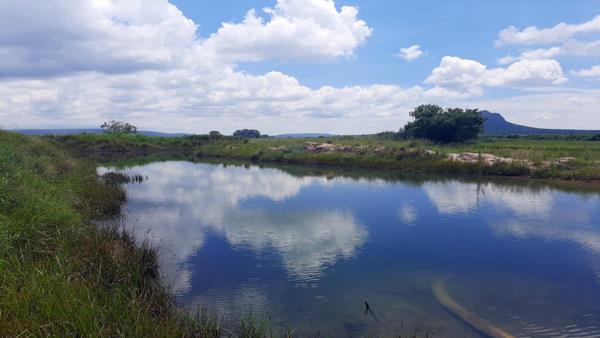 42 ha Farm