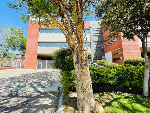 210 m² Commercial space