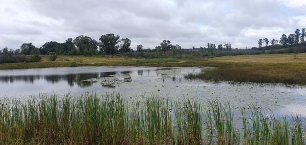 75 ha Farm