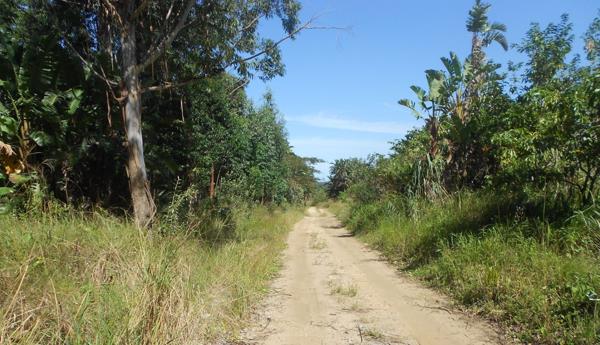 1 537 m² Land