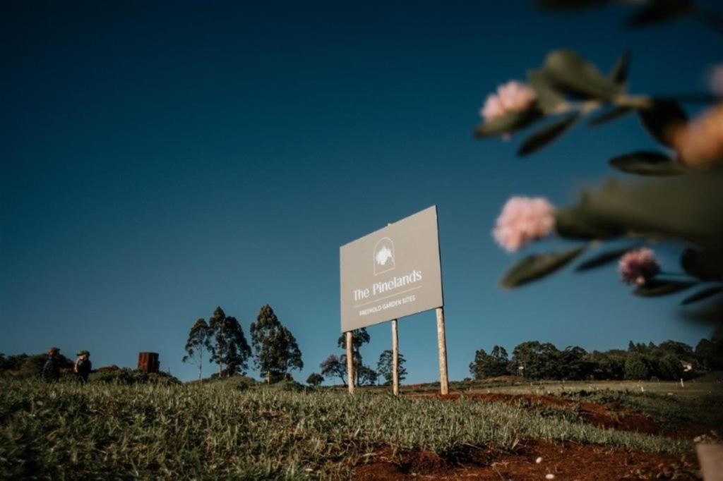 499 m² Land