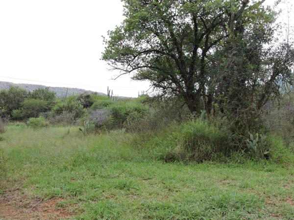 21.4 ha Farm