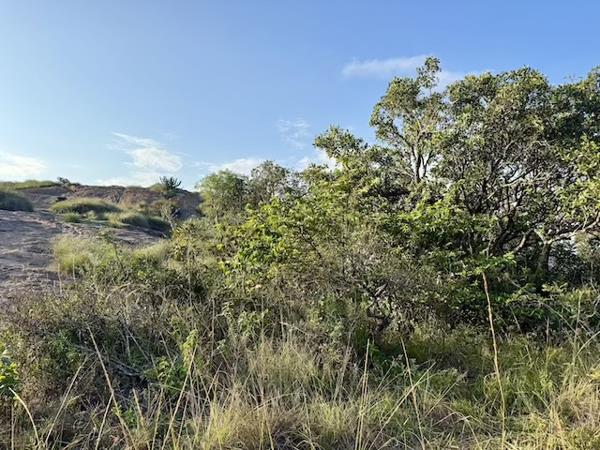 1.1 ha Land