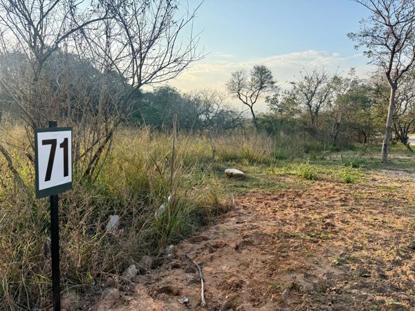 2.3 ha Land