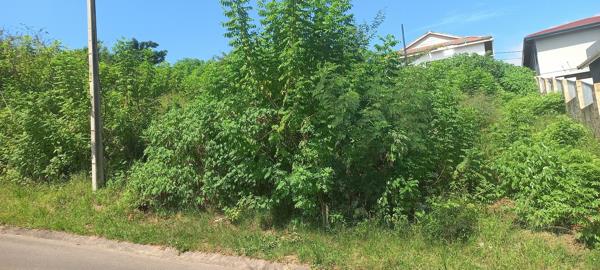 300 m² Land