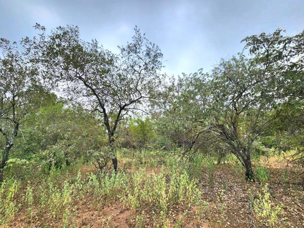 2 500 m² Land