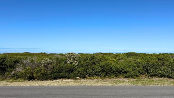 385 m² Land