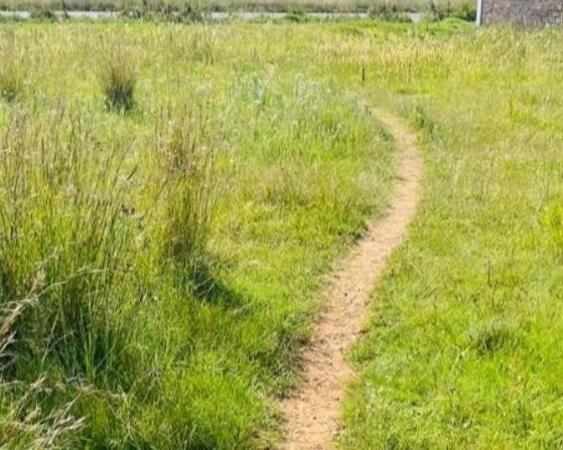 4 990 m² Land
