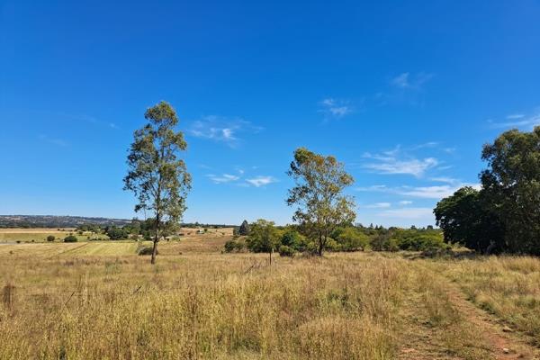 42 ha Land