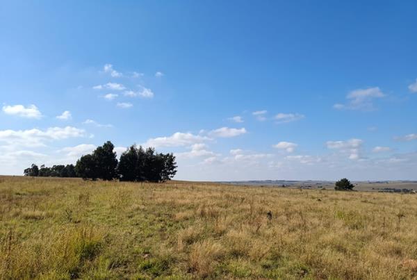 42 ha Land