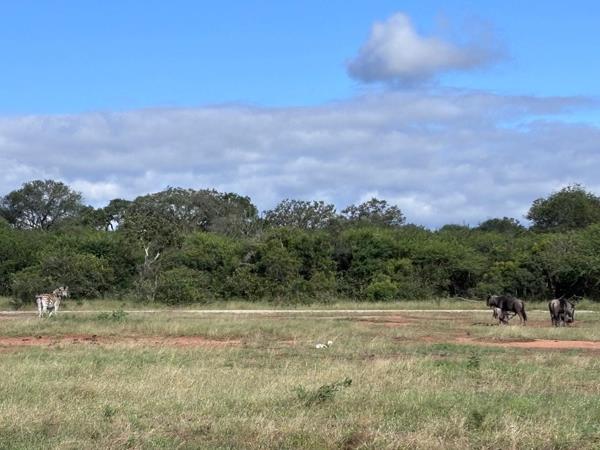 8 000 m² Land